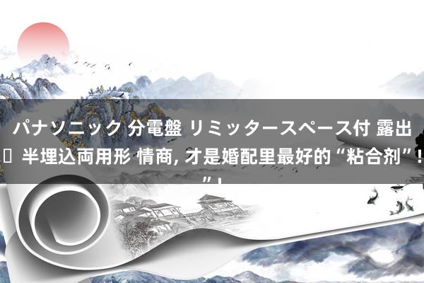 パナソニック 分電盤 リミッタースペース付 露出・半埋込両用形 情商， 才是婚配里最好的“粘合剂”!